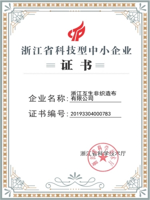 Small and Medium Enterprises in Zhejiang Province