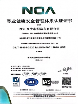 ISO 45001-CN